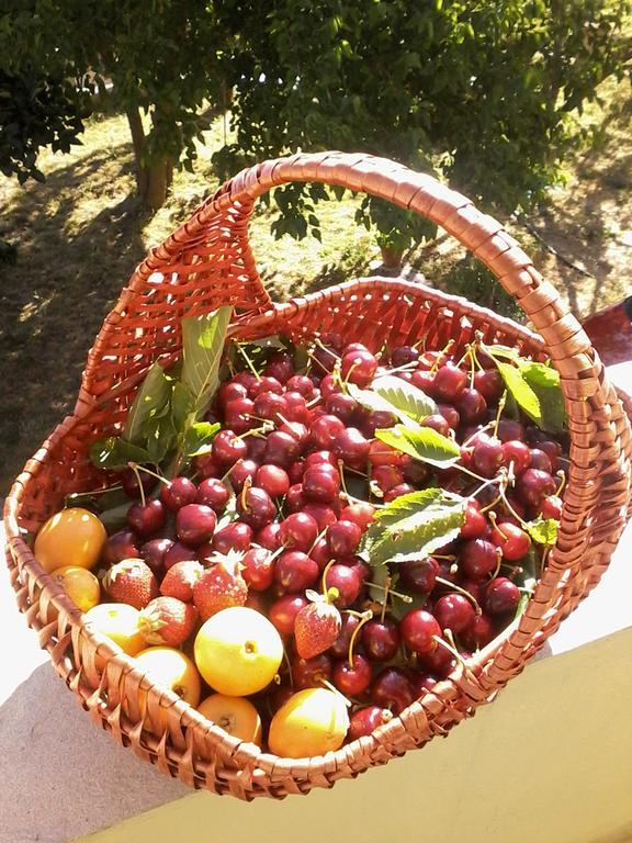 B&B Meladormo Tempio Pausania Ngoại thất bức ảnh